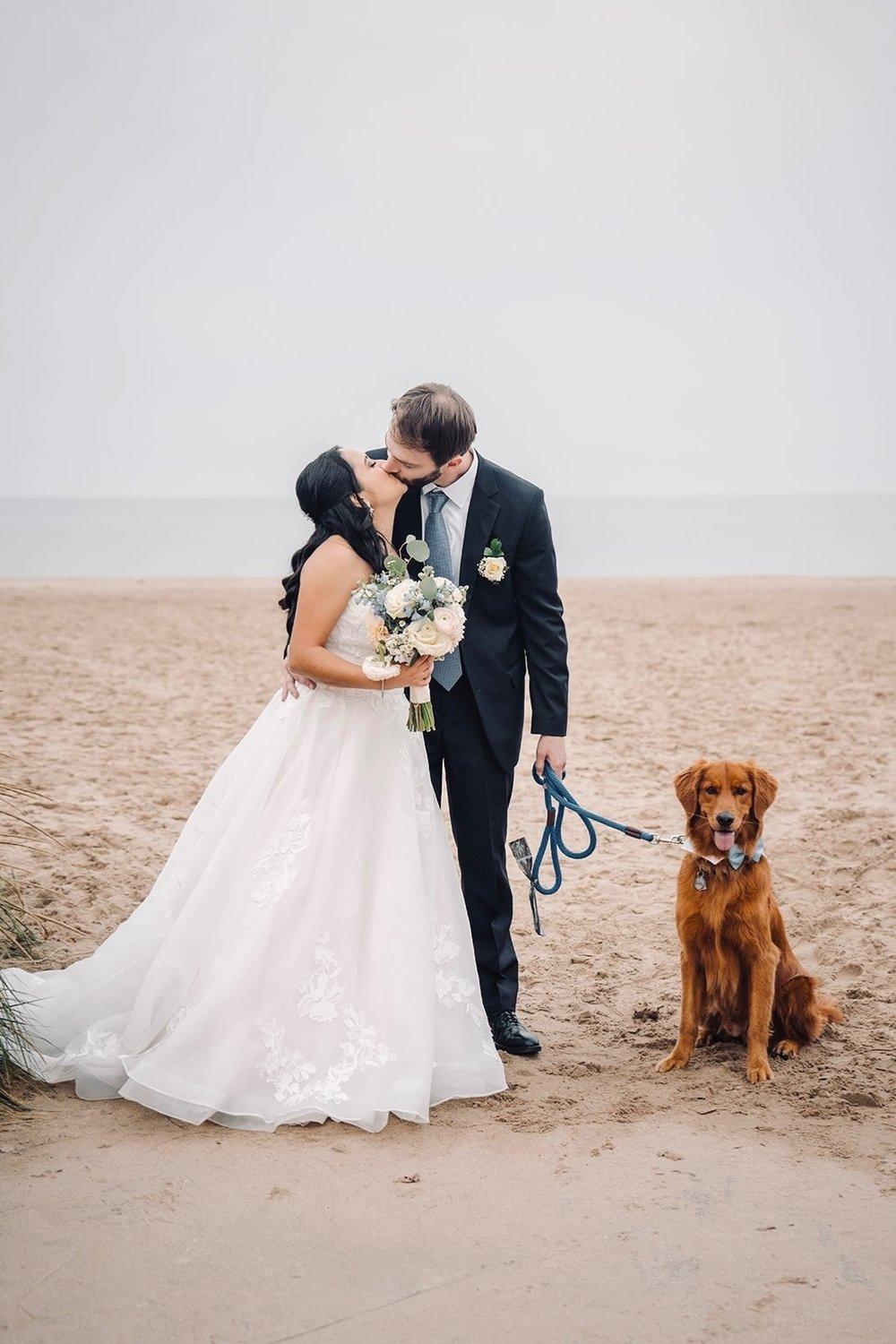 carousel-hero-element image-1